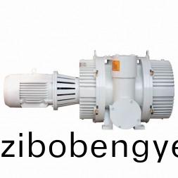 ZJP型(xing)儸(luo)茨真(zhen)空(kong)泵(beng)